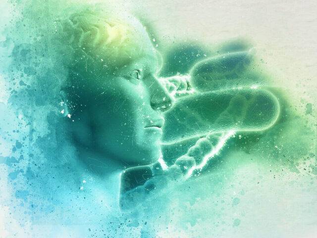 Rappresentazione del collegamento tra cervello e intestino per la motivazione per fare sport