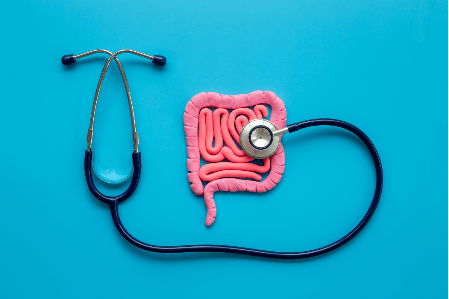 Stetoscopio appoggiato sopra modellino di intestino su sfondo azzurro